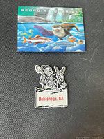 Front view of both magnets