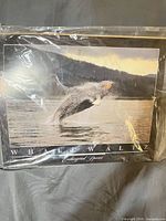 Full view of Whale Waltz poster in plastic sleeve