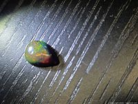 Pear cabochon black opal on dark wood, green and red coloration visible