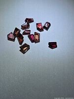 Group of 11 fancy-cut multicoloured sapphires on neutral background