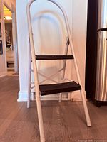 Full view of ladder standing open