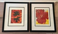 Both framed prints side by side showing overall appearance