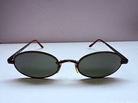 Front view of oval Ray-Ban sunglasses showing lens shape and frame