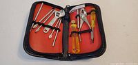 Open case showing all tools in place