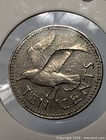 Close-up of reverse showing gull and TEN CENTS legend