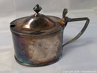 Full view of cylindrical silver-plated salt cellar with handle and lid