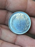 Reverse of 1978 1 Lira coin showing denomination, date, wreath, crescent and star