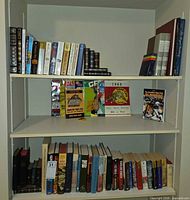 Three-shelf view showing majority of books and some magazines