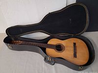 Guitar resting in open hard case