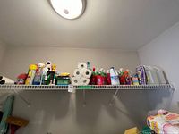 Shelf view showing full assortment of cleaning bottles, paper towels and empty jugs