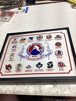 Overall view of framed AHL pin set
