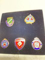 All five enamel lapel pins on black display board