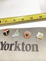 All four pins lined up below tape for scale