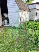 Tomato cage and edging stake standing in lawn