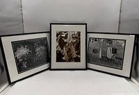 All three framed prints side by side showing frames, mats, subject matter.