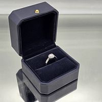 ring displayed inside open black presentation box