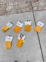Six pairs gloves laid out on pavement