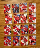 Front view of 16 Team Canada insert cards arranged 4×4