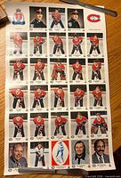 Front of uncut sheet showing 35 colour Kingston Canadiens card fronts