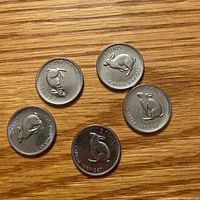 Five rabbit-reverse Canadian 5-cent coins displayed obverse up