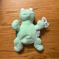 Front view of Ty plush turtle, tags visible