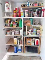 Full cabinet view with assorted paints, solvents, aerosols and chemicals
