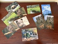 All nine postcards laid out