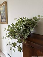 Full view of faux ivy plant on wooden surface