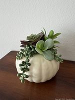 Front view of faux succulents in white pumpkin planter