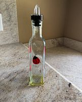 Front view showing ladybug design and pour spout
