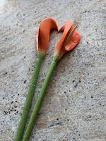 Two wooden calla lilies lying on stone surface