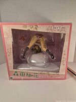 Front of box showing SkyTube Morita Yuka figure through window
