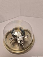 Insect figurine under clear dome on brass-tone base