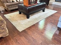 Rug in room setting showing full size and color