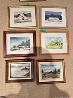 Group shot of all six framed paintings