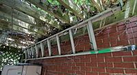 Full view of aluminum extension ladder mounted under pergola