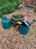 Two green watering cans with brown ceramic planter and surrounding mulch