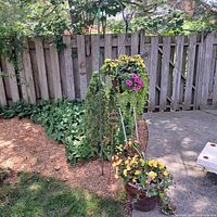 Hanging basket on shepherd hook, ceramic pot below, garden stakes visible