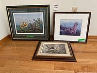 All three framed prints together for scale and overview