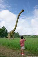 Child looking at large sauropod animatronic dinosaur in grassy field