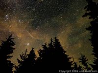 Night sky with meteor streak and silhouetted trees illustrating the tour experience