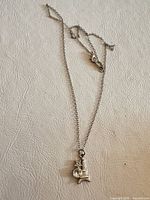 Full view of necklace showing chain and pendant