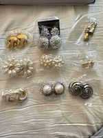 All nine pairs of earrings in plastic bags laid out