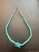 Full view of necklace showing turquoise disc beads, shell heishi sections and clasp
