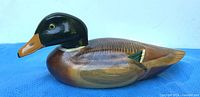 Left profile of carved wooden mallard showing coloration and shape