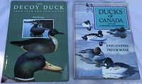 Front covers of both hardcover books