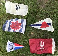 All five small nylon pennants laid on grass displaying each design