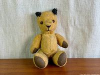 Front view of vintage jointed mohair teddy bear