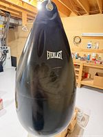 Full view of Everlast water-filled teardrop bag