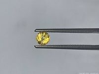 Round yellow sapphire held by tweezers, showing face view